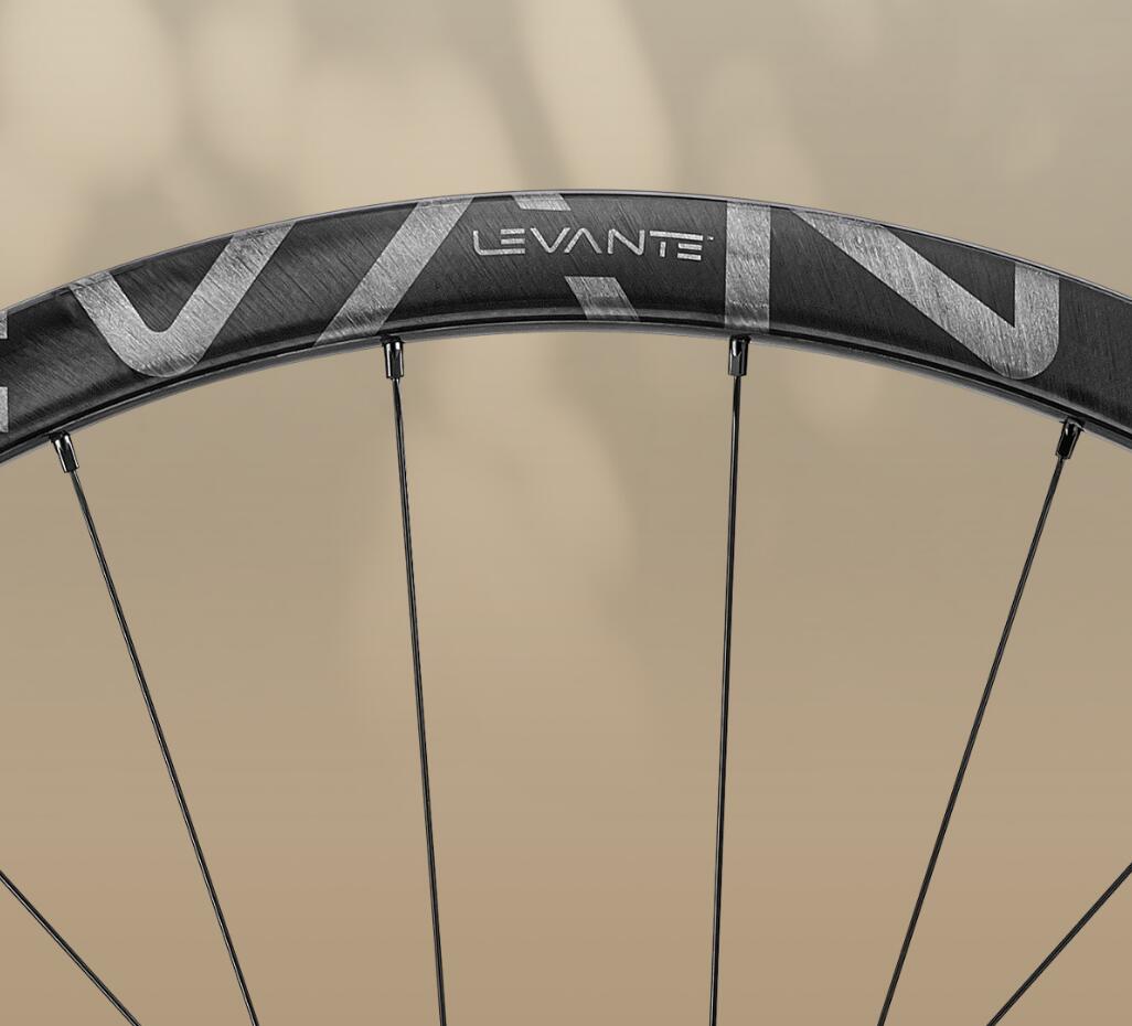 Campagnolo Levante レバンテ ディスクブレーキ カーボン ホイール 2-WAY FIT フリーボディ HG/XDR/N3W 選択可能 カンパニョーロ イタリア 自転車 自転車部品 送料無料