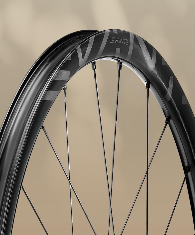 Campagnolo Levante レバンテ ディスクブレーキ カーボン ホイール 2-WAY FIT フリーボディ HG/XDR/N3W 選択可能 カンパニョーロ イタリア 自転車 自転車部品 送料無料