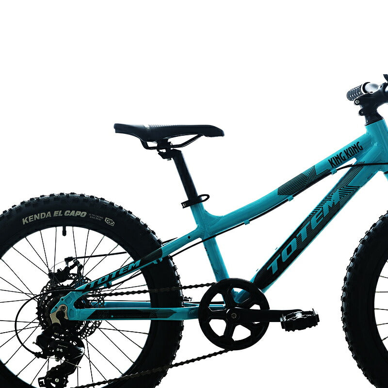 Totem自転車 金剛 子供用自転車 20インチ シマノ製7段変速機 ディスクブレーキ 子供用 アルミニウム合金6061 T6 5歳〜9歳 身長120cm 練習 遊び 誕生日 プレゼント ギフト 子供の日 キッズバイク 子供用バイク ジュニア 男の子 女の子 こどもの日 入園祝い 送料無料