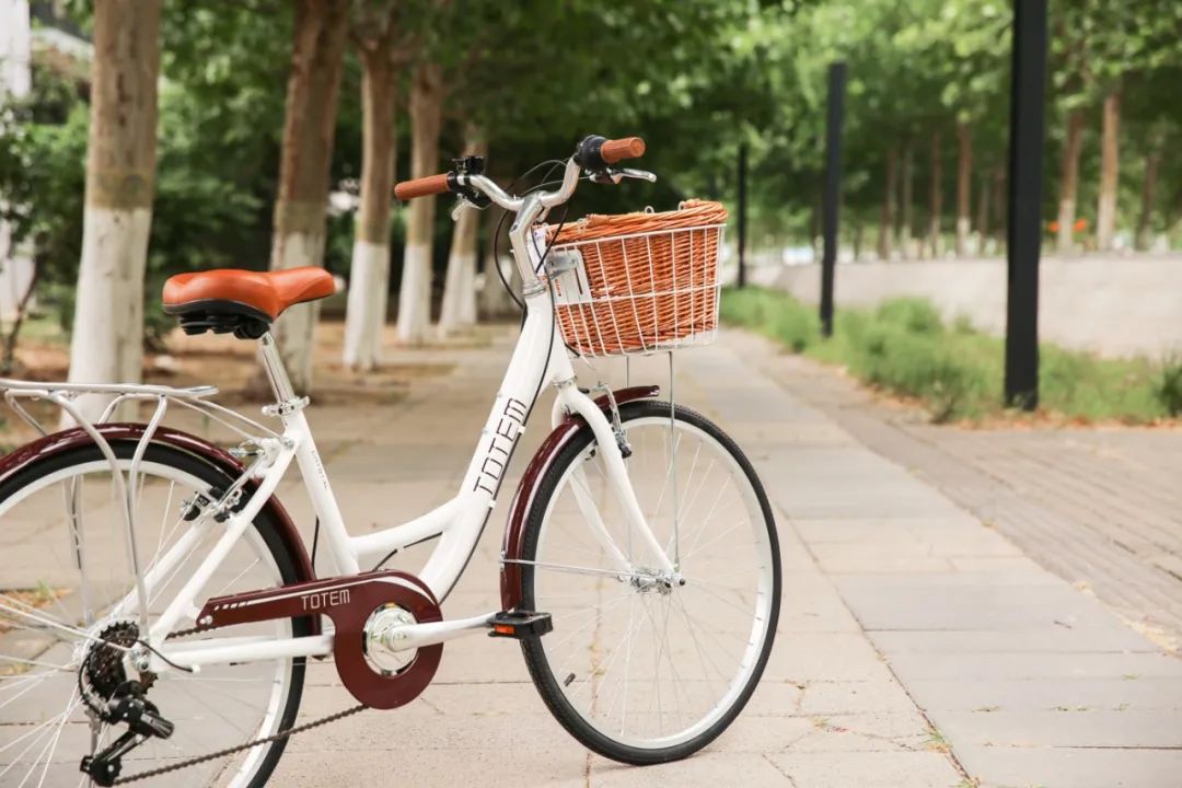 Totem自転車 KLS シティサイクル 24~26インチ ママチャリ シマノ製6段変速 前かご付き 後ろリアキャリア付き フェンダー チェンカバー付き 身長145cm~ アルミニウム合金6061 T6 特許取得 シマノ shimano 買い物 買い出し 生活便利 妻 女性 プレゼント ギフト 送料無料